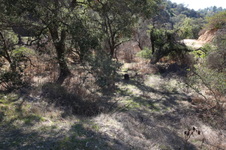 Enlarge photo 42