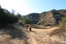 Enlarge photo 2