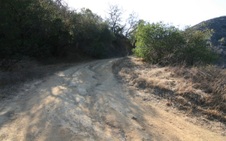 Enlarge photo 9
