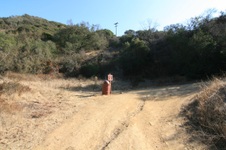 Enlarge photo 10