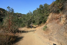 Enlarge photo 16