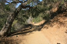Enlarge photo 17