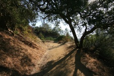 Enlarge photo 18