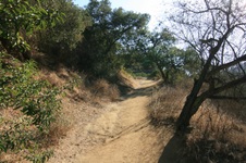 Enlarge photo 19