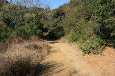 Enlarge photo 20