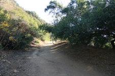 Enlarge photo 25