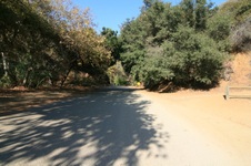 Enlarge photo 31