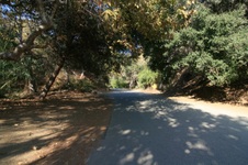 Enlarge photo 33