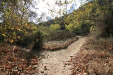 Enlarge photo 34