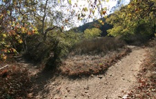 Enlarge photo 35
