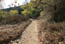 Enlarge photo 36