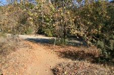 Enlarge photo 37