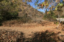 Enlarge photo 38