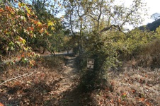 Enlarge photo 39