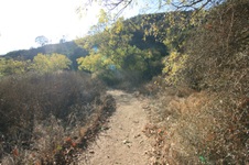 Enlarge photo 40