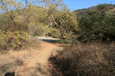 Enlarge photo 41