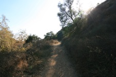 Enlarge photo 42