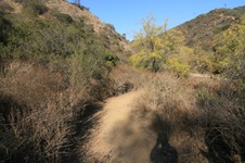 Enlarge photo 43