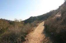 Enlarge photo 44