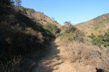 Enlarge photo 45