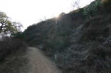 Enlarge photo 46
