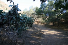 Enlarge photo 48