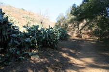 Enlarge photo 49