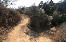 Enlarge photo 50