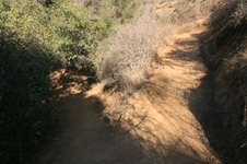 Enlarge photo 52