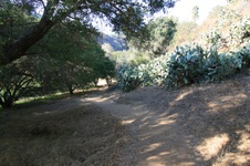 Enlarge photo 53