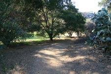 Enlarge photo 54