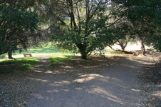 Enlarge photo 55