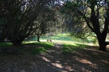Enlarge photo 56