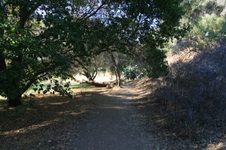 Enlarge photo 57