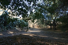 Enlarge photo 58