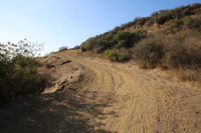 Mt. Hollywood: Hiking Trails 4th Hold