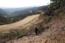 Enlarge photo 7