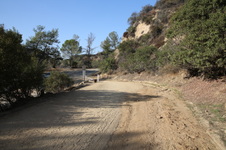 Enlarge photo 13