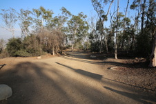 Enlarge photo 25