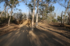 Enlarge photo 26