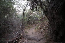 Enlarge photo 22