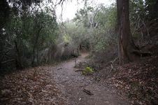 Enlarge photo 23