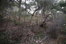 Enlarge photo 24