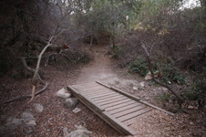 Enlarge photo 25