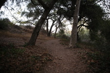 Enlarge photo 26