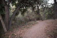 Enlarge photo 27