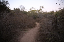 Enlarge photo 28