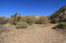 Trails