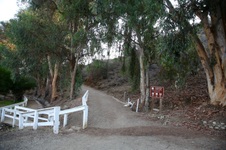Enlarge photo 6