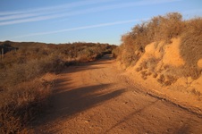 Enlarge photo 16